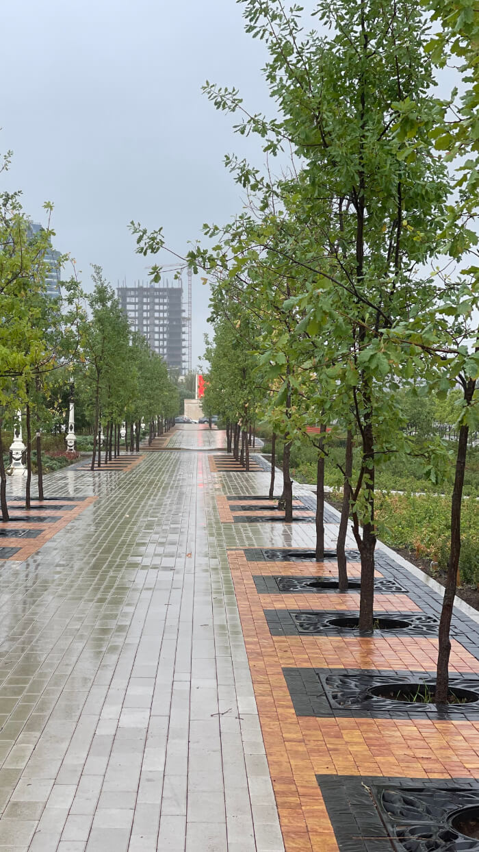 Приствольная решетка для дерева ZKING CRUST 1.2х1.2м Черная в Белгороде фото