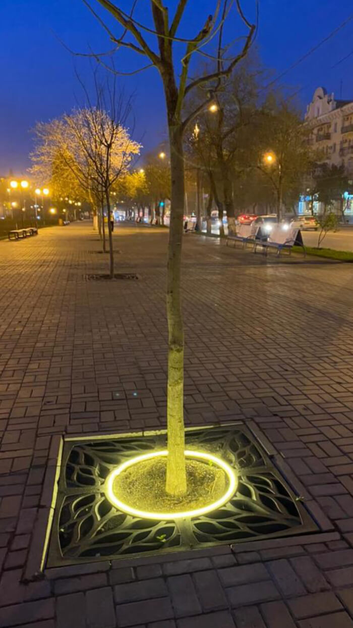 Приствольная решетка для дерева ZKING CRUST 1.2х1.2м Черная в Белгороде фото